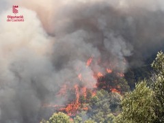 Informe del CEAM sobre el incendio de la Vall d'Uixó: la vegetación perdió el 51% de humedad en los meses previos