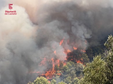 Informe del CEAM sobre el incendio de la Vall d'Uixó: la vegetación perdió el 51% de humedad en los meses previos