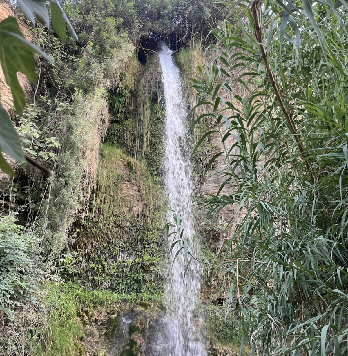 Fuente del Gorgotón - Foto: A. Z Fuente del Gorgotón