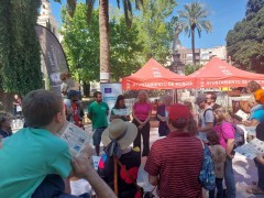 Gorriones, palomas y mirlos: el censo de aves de Murcia identifica 22 especies y 357 ejemplares en Conexión Sur