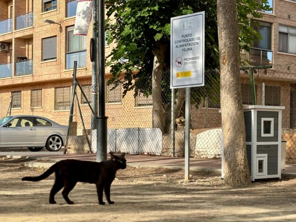 Murcia registra 626 colonias felinas en todo el municipio y esteriliza a cerca de 2.990 gatos