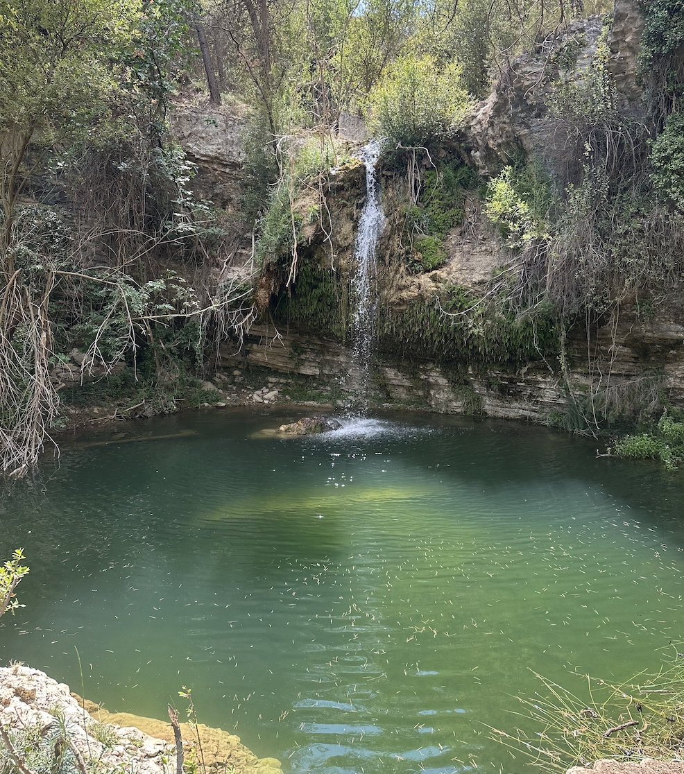 Poza de las Tortugas - Foto: A. Z Poza de las Tortugas
