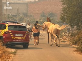 El incendio de Tírig obliga a evacuar a la población de Catí y las explotaciones ganaderas