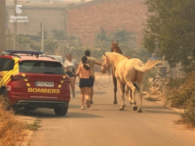 El incendio de Tírig quema 684 hectáreas en un perímetro de 19 kilómetros y obliga a evacuar a la población de Catí 