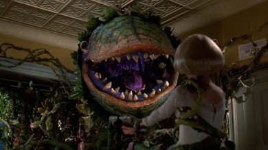 El Centre del Carme proyecta 'La pequeña tienda de los horrores' de Frank Oz