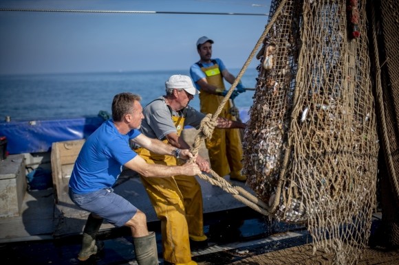 El chanquete gana tiempo: la Región adapta su pesca a la prórroga europea hasta 2029