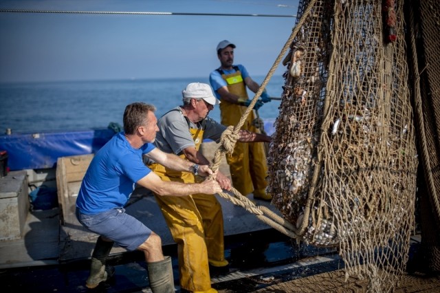 El chanquete gana tiempo: la Región adapta su pesca a la prórroga europea hasta 2029