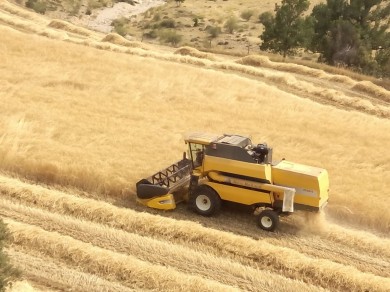 La Unió alerta: la Comunitat pierde más de 7.100 solicitantes de la PAC en tres años y lidera la caída en España