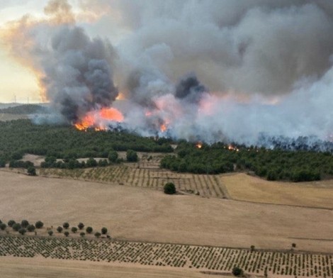 El incendio del Cerro Maestre de Jumilla activa el Plan Infomur en situación 1
