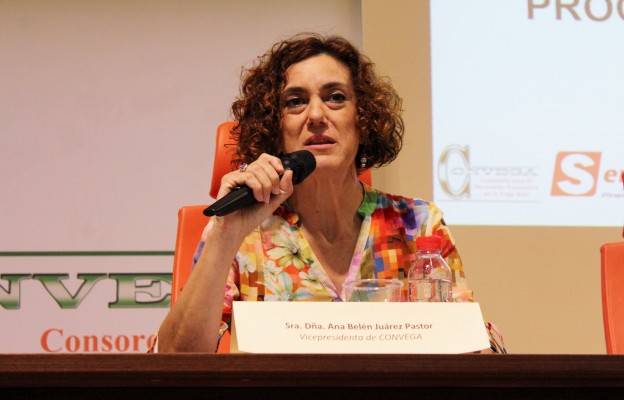 El TSJCV asume la causa contra una concejal de Los Montesinos al convertirse en diputada autonómica
