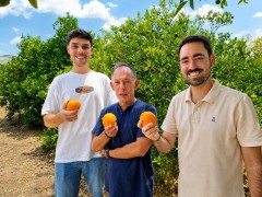 Hasta 9 de cada 10 murcianos pagarían un 30% más para comprar naranjas producidas de manera sostenible