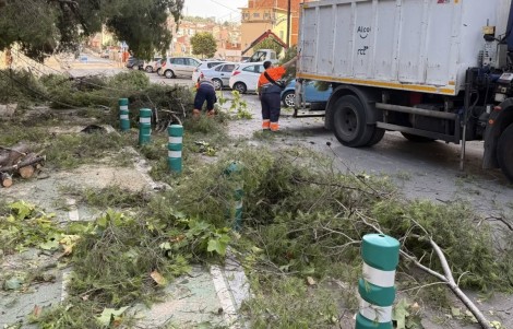 Alcoy empieza a recuperarse del caos generado por la tormenta: árboles arrasados y cuantiosos daños