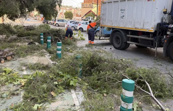 Alcoy empieza a recuperarse del caos generado por la tormenta: árboles arrasados y cuantiosos daños