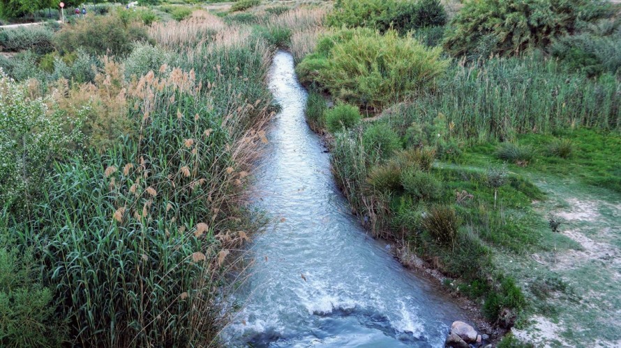 Luz verde definitiva a la ordenanza que prohíbe entubar los cauces y protege la vegetación de la Huerta de Murcia 