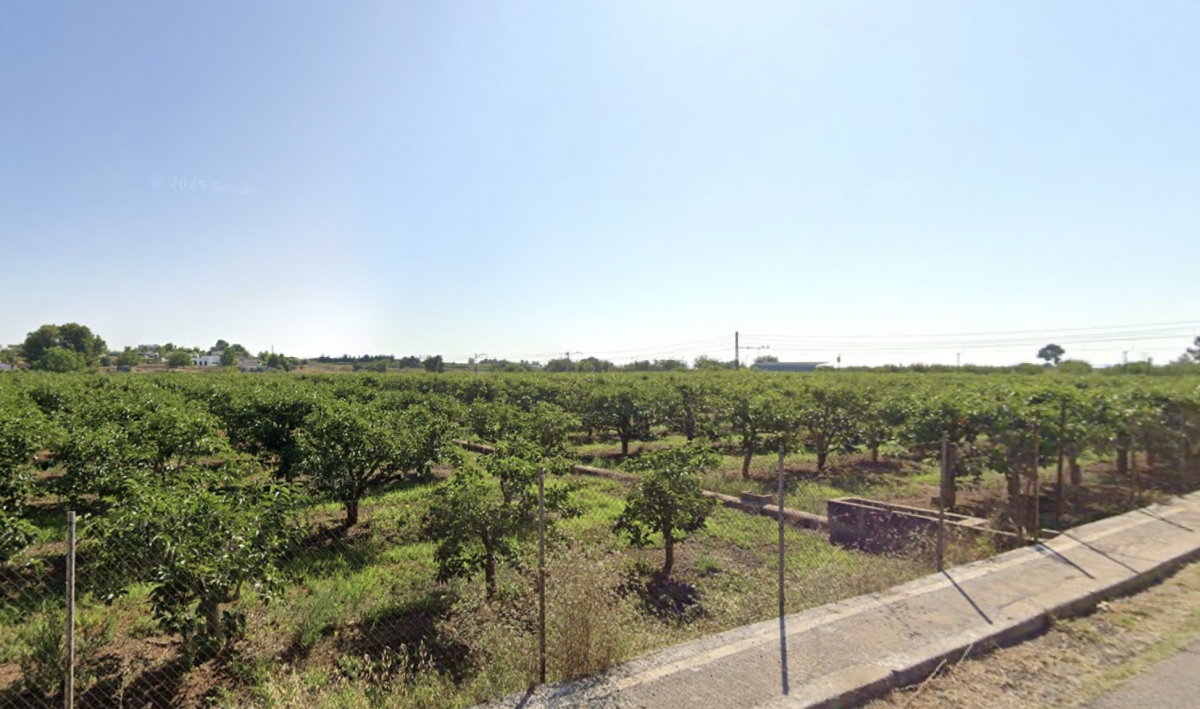 Terrenos agrícolas en la urbanización Ausiàs March de Carlet.