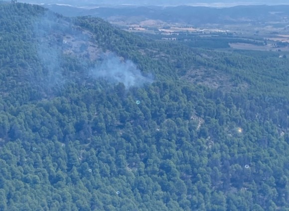 Los bomberos se despliegan en la Loma Portugales de Cehegín para apagar un incendio forestal