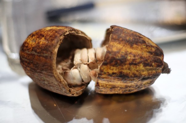 El cacao podría prevenir la pérdida de audición asociada a la edad
