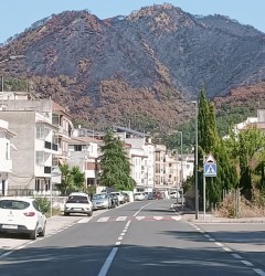 La Fundació Comunitària La Plana impulsa un fondo de emergencia para apoyar al tejido asociativo afectado por el incendio de la Vall