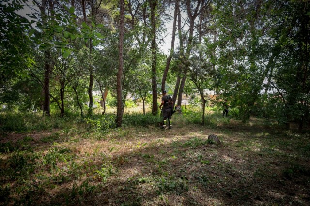 Torrent incorpora 30 trabajadores agrícolas para reforzar la prevención de incendios en zonas forestales