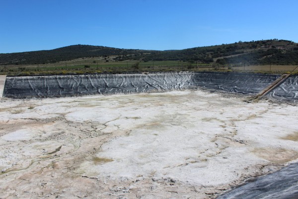 SOS de la ganadería de Castellón: la sequía seca pastos y balsas y provoca un 60 % de sobrecoste