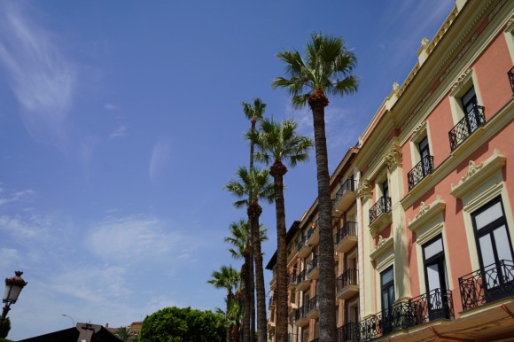 Del Palmeral de Zaraiche a los barrios: Murcia cuida sus más de 18.000 palmeras para el otoño