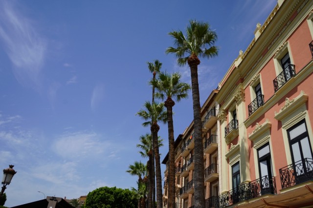 Del Palmeral de Zaraiche a los barrios: Murcia cuida sus más de 18.000 palmeras para el otoño