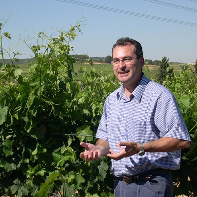 Finca San Blas, 'Mejor vino dulce del mundo' en los Decanter World Wine Awards