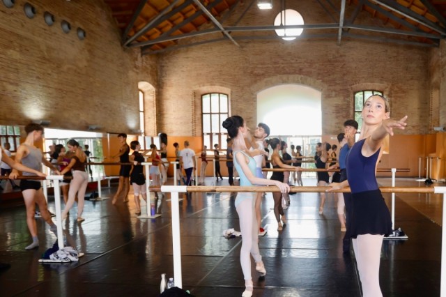El XVII Campus Internacional València Dansa celebra una participación 