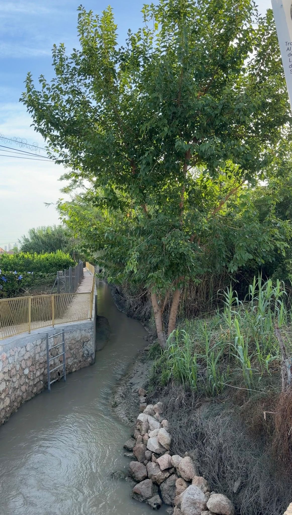  - Foto: AYTO DE MURCIA 