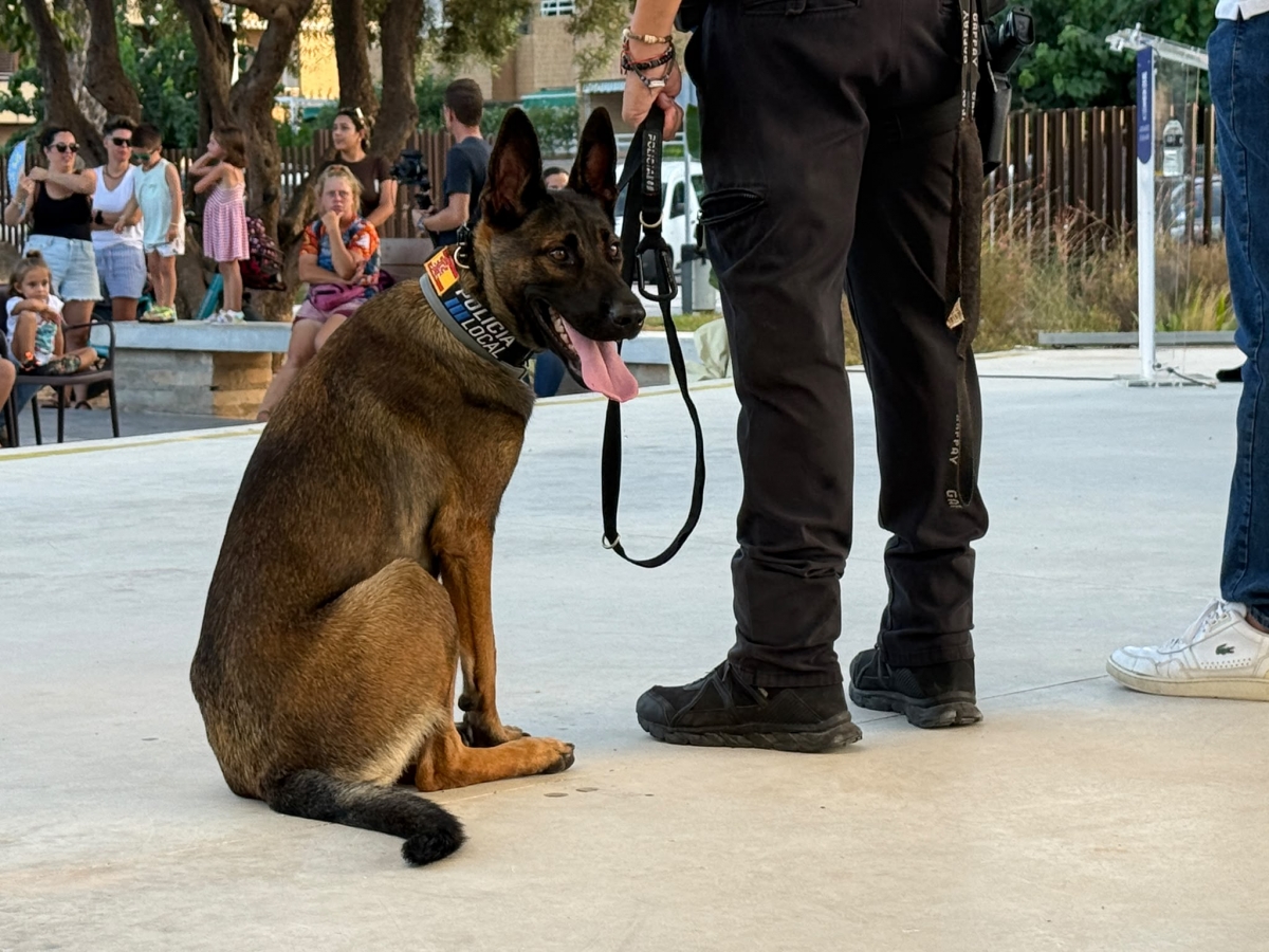  - Foto: AYTO. SAN JAVIER