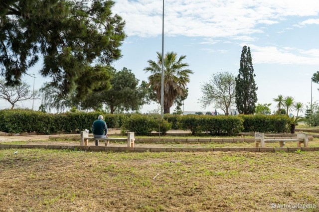 Cartagena busca proveedor para sus jardines: 70.000 euros en plantas, riego y materiales