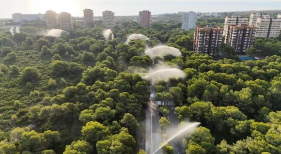 València cierra accesos a la Devesa, activa cañones de agua y refuerza controles por calor