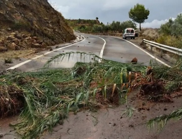 Los últimos temporales dañan 493 hectáreas de olivar y almendro del Alto Palancia y provocan 1,4 millones de pérdidas