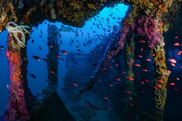 Una mirada a las profundidades: el mapa submarino que esconde la costa de la Región de Murcia