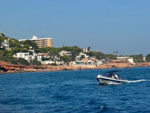 Intensifican la vigilancia sobre la posidonia en la costa de la Comunitat para reducir el impacto de las embarcaciones
