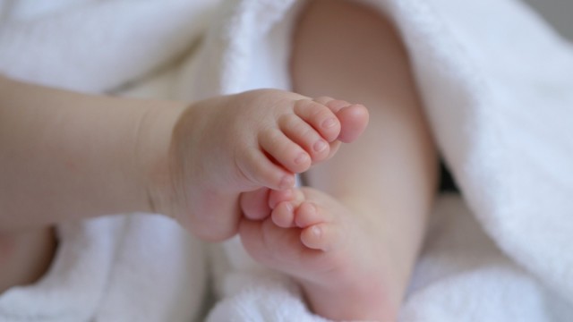 Un total de 17.774 bebés nacieron en la Comunitat hasta junio, un 4,42% más que en 2025, según el INE