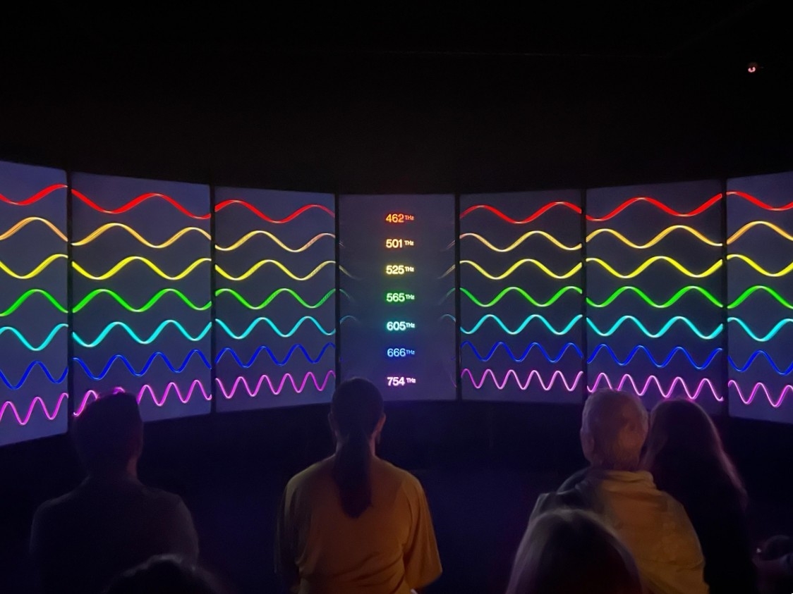 Vídeo de la exposición en el MACA