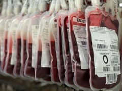 Castellón roza las 1.500 donaciones de sangre en verano y supera las 10.000 en lo que va de año