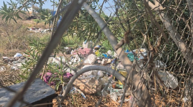 Alicante exige a Adif que limpie el entorno de las vías de Benalúa bajo aviso de multa