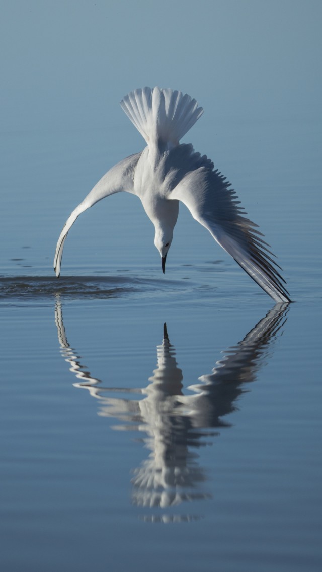 Estas son las tres fotos de naturaleza ganadoras del concurso #MeGustaRegiónDeMurcia