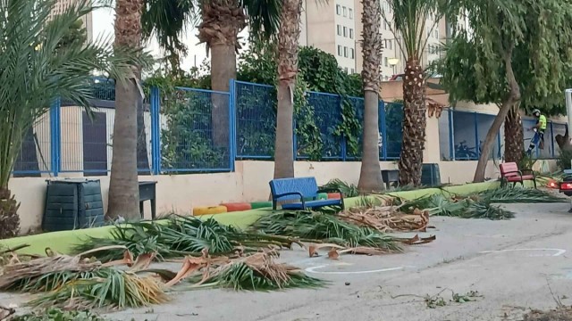 Benidorm pone al día la jardinería de 13 colegios ante el inicio del curso escolar