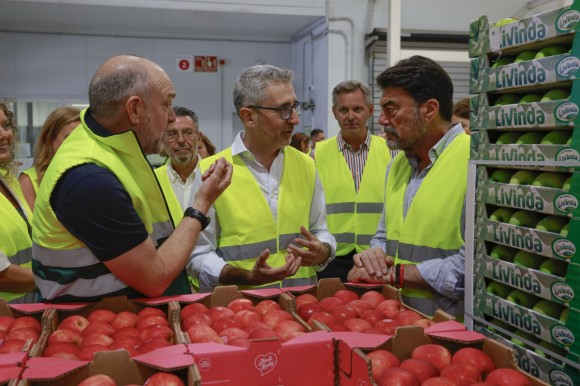 Mercalicante cubre el 80% de su primera ampliación y se da tres años para la segunda fase