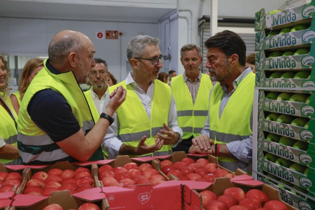 Mercalicante cubre el 80% de su primera ampliación y se da tres años para la segunda fase