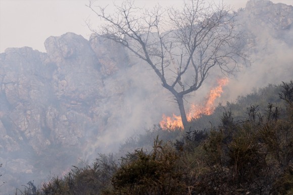 El Campello se queda fuera de la subvención de la Diputación contra incendios forestales