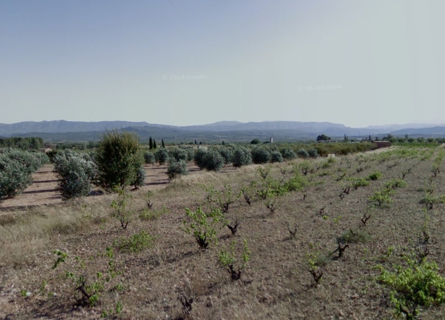 Imagen del entorno en que se prevé construir el glamping de Casinos.