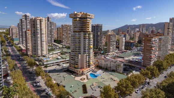 Benidorm plantará 400 árboles en zonas urbanas hasta fin de año para crear sombras frente al calor