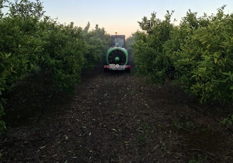 Los costes en el campo valenciano se disparan: los carburantes crecen un 90% y los fertilizantes un 82% en seis años