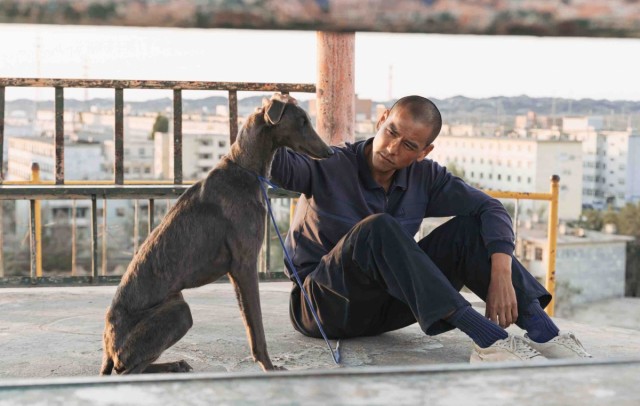 La Filmoteca d'Estiu dedica el fin de semana a 'Black Dog', el 'thriller humanista' de Guan Hu