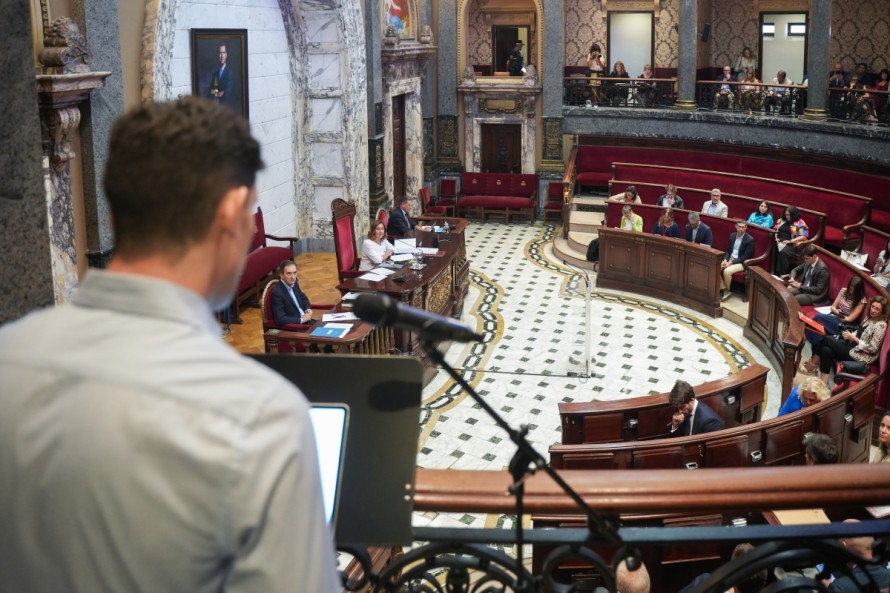 Del Cabanyal a Penya-roja y La Torre: así evoluciona la participación ciudadana en el pleno de València