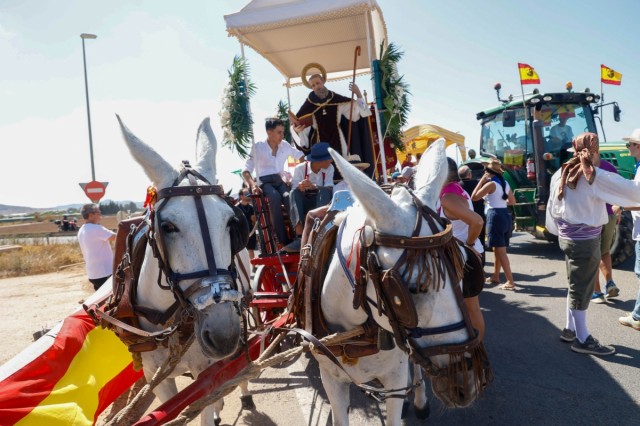 Todas las imágenes de la Romería de San Ginés de la Jara en Cartagena: una jornada de tradición, alegría y devoción